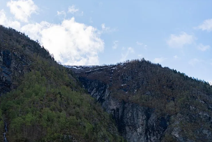 买房移民政策变动：怎么调整投资策略？