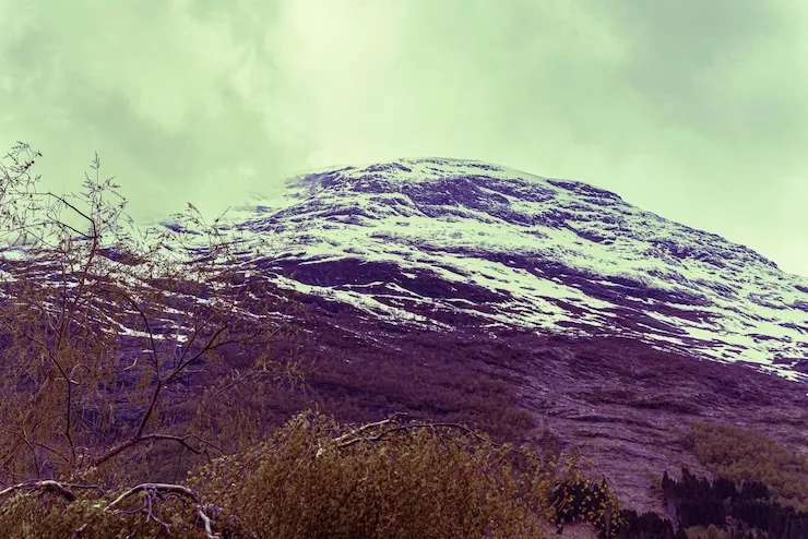 移民流程,2026移民政策,