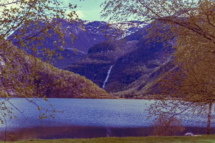 移民后的社会适应：怎么帮助家人快速融入新国家？