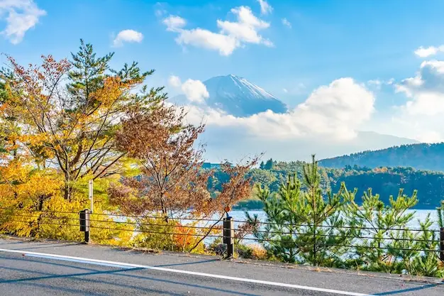 怎样经过移民为企业拓展国际市场？