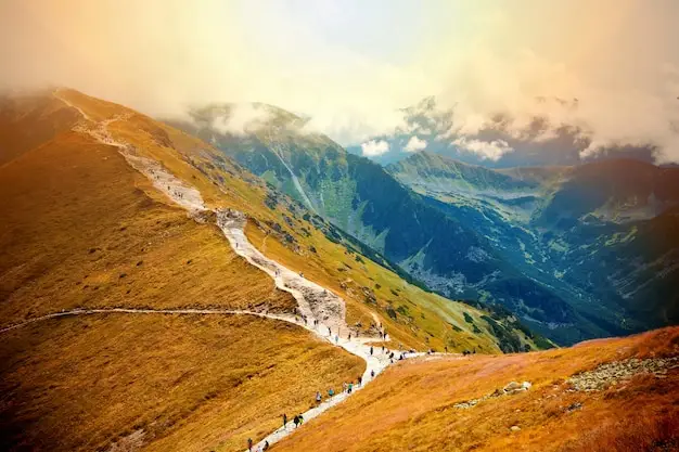 团聚移民,美国移民费用,