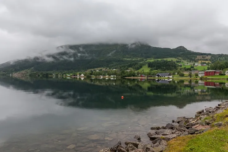 韩国移民申请的提交方式是线上系统递交还是线下邮寄？2025年是否已数字化？