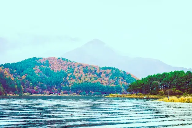 芬兰的国际学校资源如何？学费大概是多少？