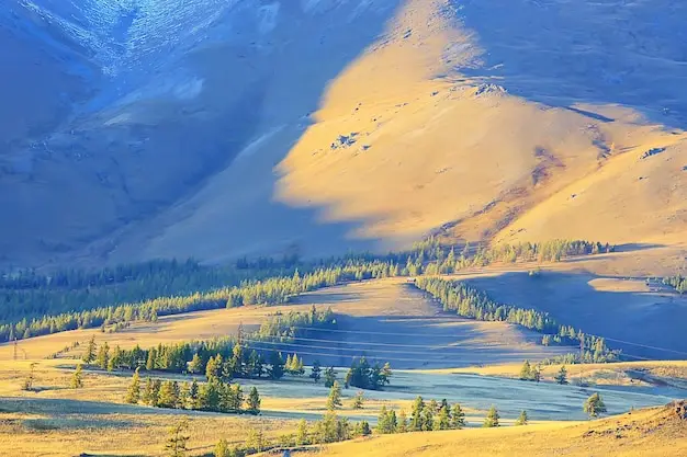 芬兰入籍需要通过什么考试？国情测试的内容是什么？