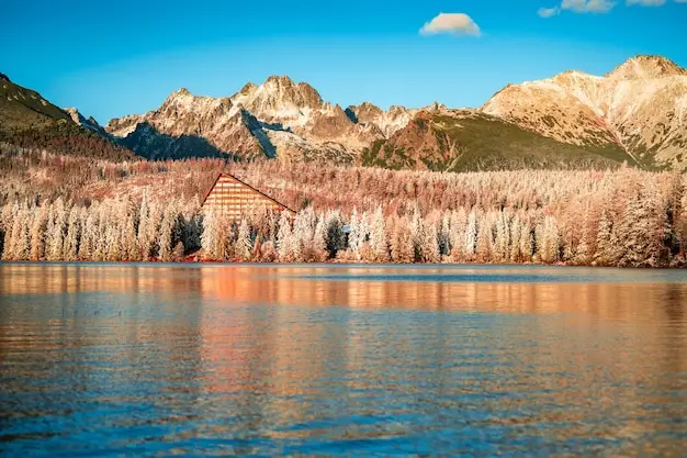 马耳他公民，欧盟迁徙权，隐性限制盘点