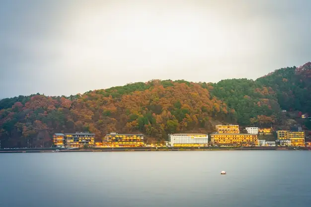 土耳其护照的免签国家有多少？