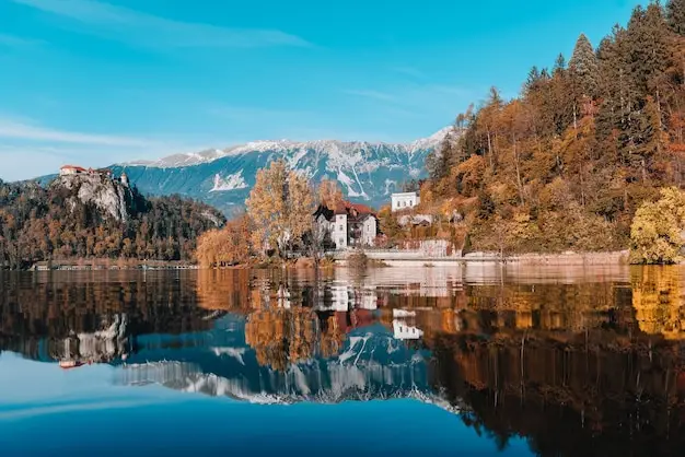 马绍尔移民申请的文件翻译错误或不规范，会导致拒签吗？